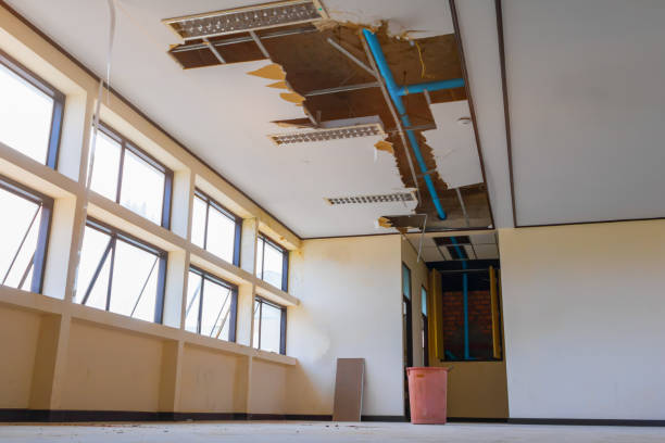 Best Flood damage cleanup  in Rainbow Springs, FL