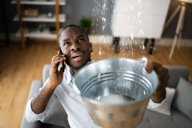 Best Water damage cleanup near me  in Rainbow Springs, FL