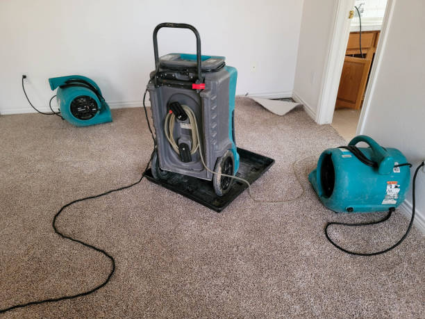 Best Professional water damage repair  in Rainbow Springs, FL