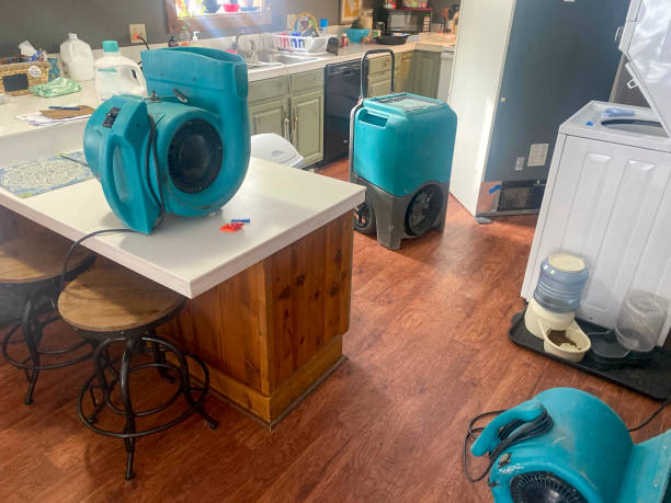 Best Sewage cleanup and water damage restoration  in Rainbow Springs, FL