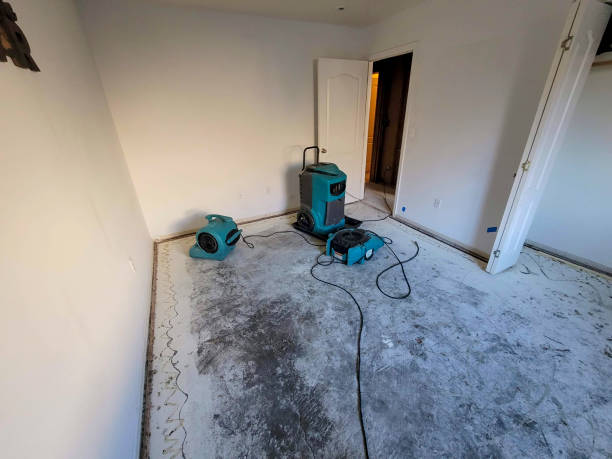  Rainbow Springs, FL Water damage restoration Pros