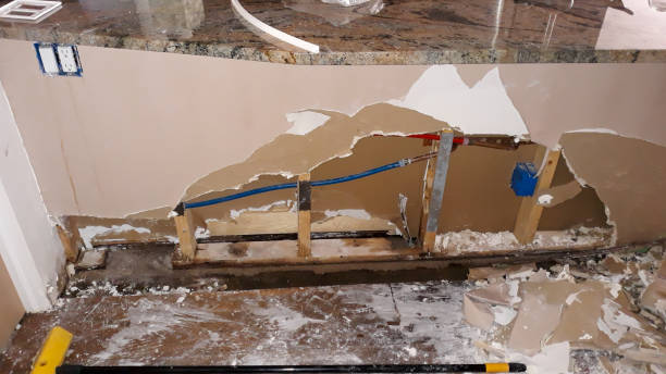 Best Water damage restoration specialists  in Rainbow Springs, FL