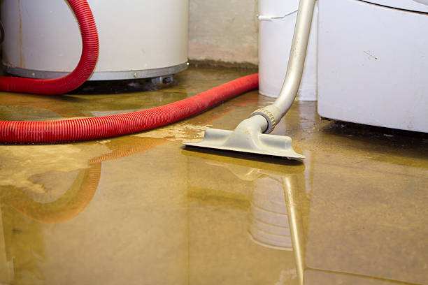 Best 24/7 water damage repair  in Rainbow Springs, FL