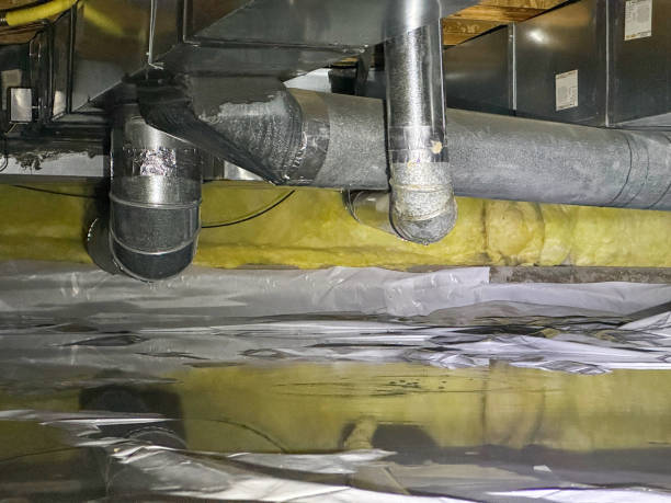 Best Water damage contractors near me  in Rainbow Springs, FL