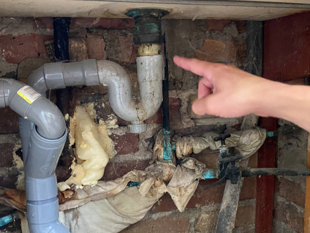Best Residential water damage restoration  in Rainbow Springs, FL