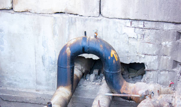 Best Mold removal after water damage  in Rainbow Springs, FL
